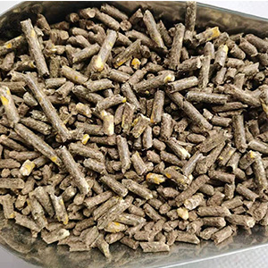 牧草颗粒饲料